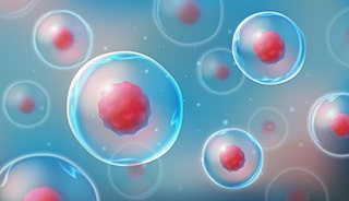 Stem Cell Therapy